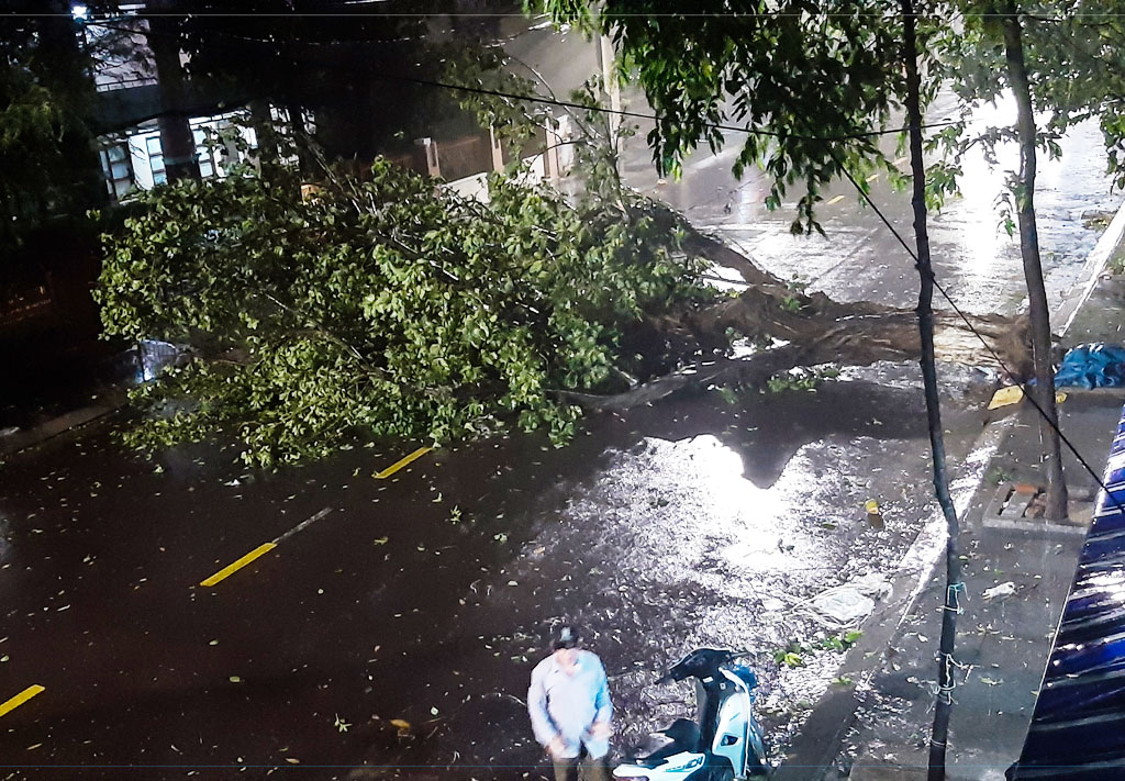 Tâm bão số 5 vào Bình Định - Phú Yên1
