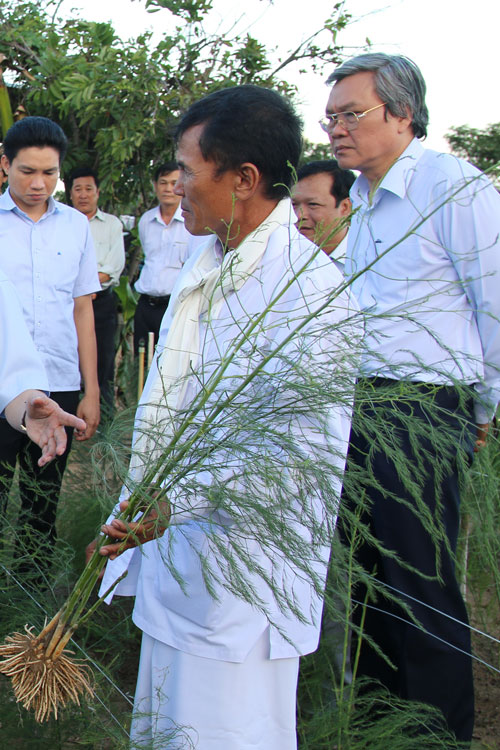 Vua của các loại rau1