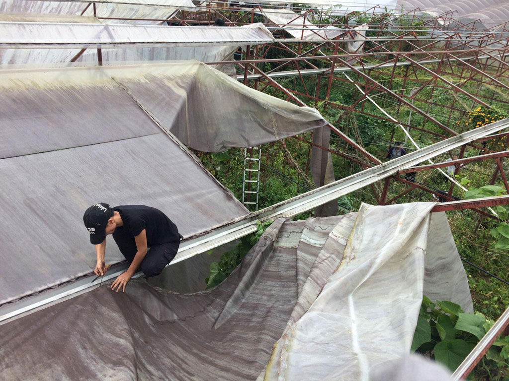 Nhà làm phim môi trường Mỹ Dung: “Người Việt đã quên mất văn hóa cần kiệm và giản dị”9