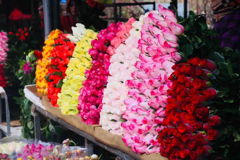 Cận Tết, chợ Quảng Bá tập nập người mua hoa5