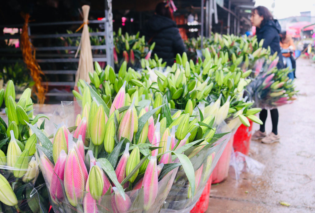 Cận Tết, chợ Quảng Bá tập nập người mua hoa9