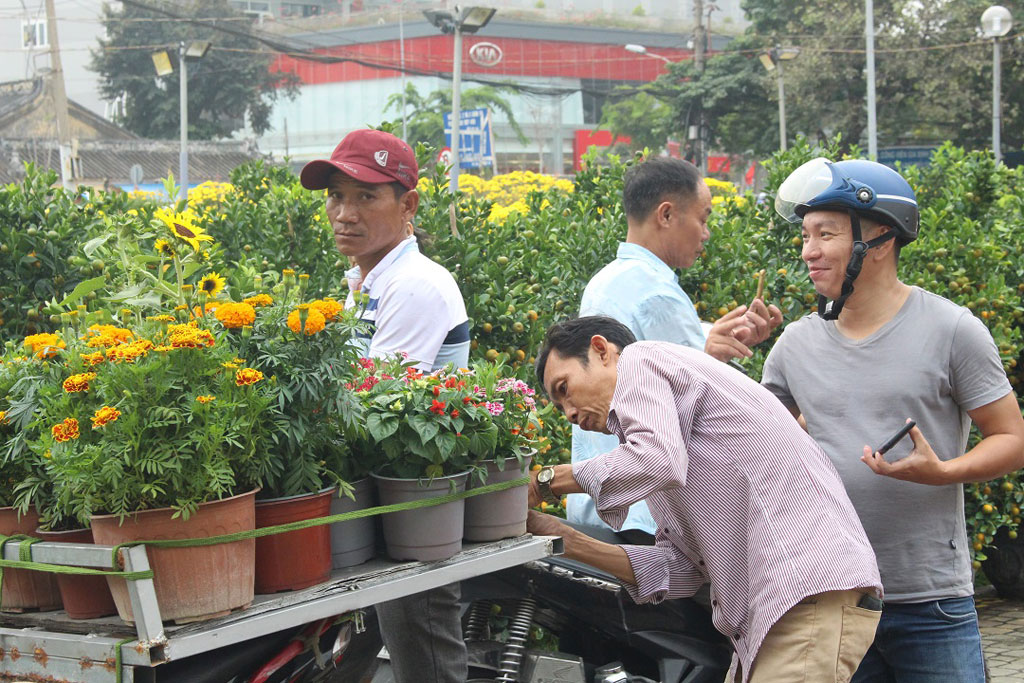 Tết Canh Tý: Người trẻ và hoa “rần rần” đổ bộ xuống phố5