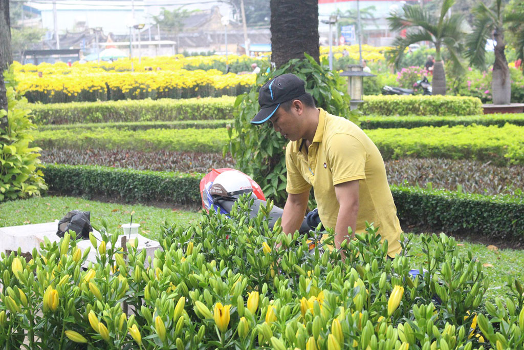 Tết Canh Tý: Người trẻ và hoa “rần rần” đổ bộ xuống phố12