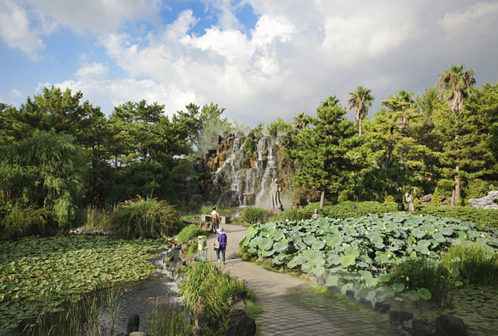 Mùa xuân trên đảo Jeju Hàn Quốc có gì thú vị?2