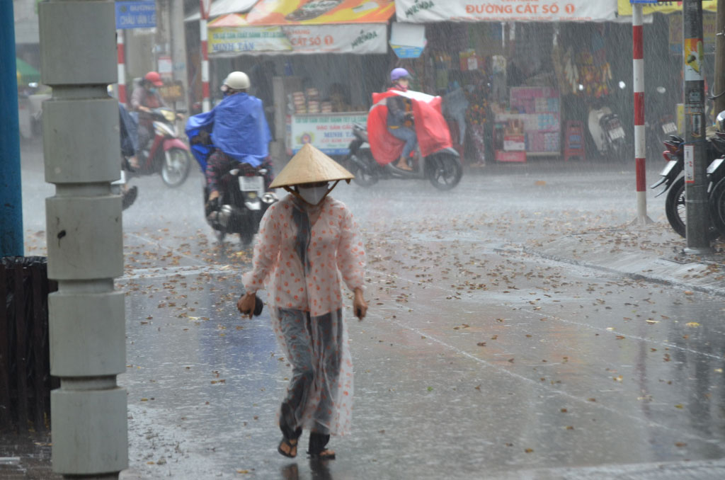 Dân Cần Thơ đón cơn mưa “vàng” giải nhiệt trong những ngày cuối cách ly xã hội12