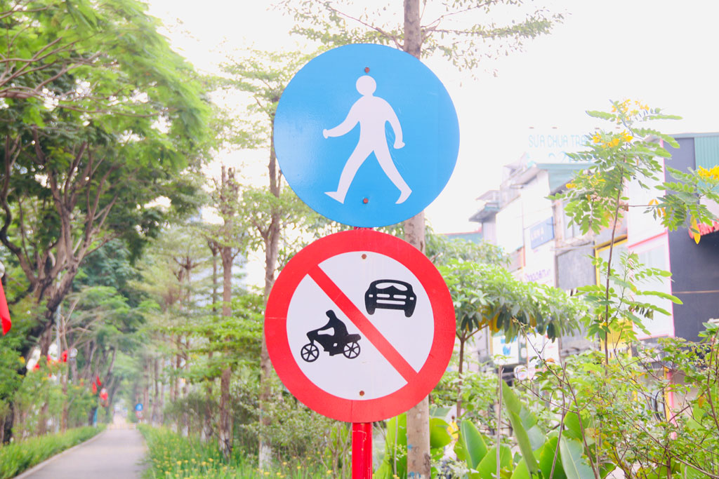 Hà Nội có thêm tuyến đường ngập tràn cây xanh cho người dân vui chơi 1