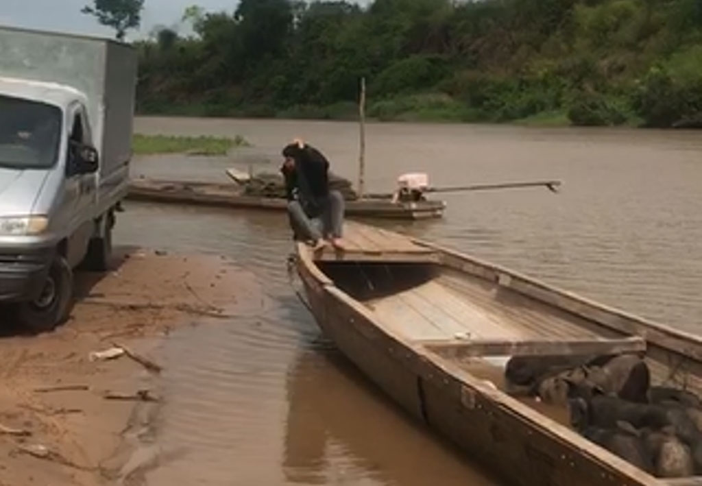 'Nóng' heo lậu tuồn vào trong nước 2