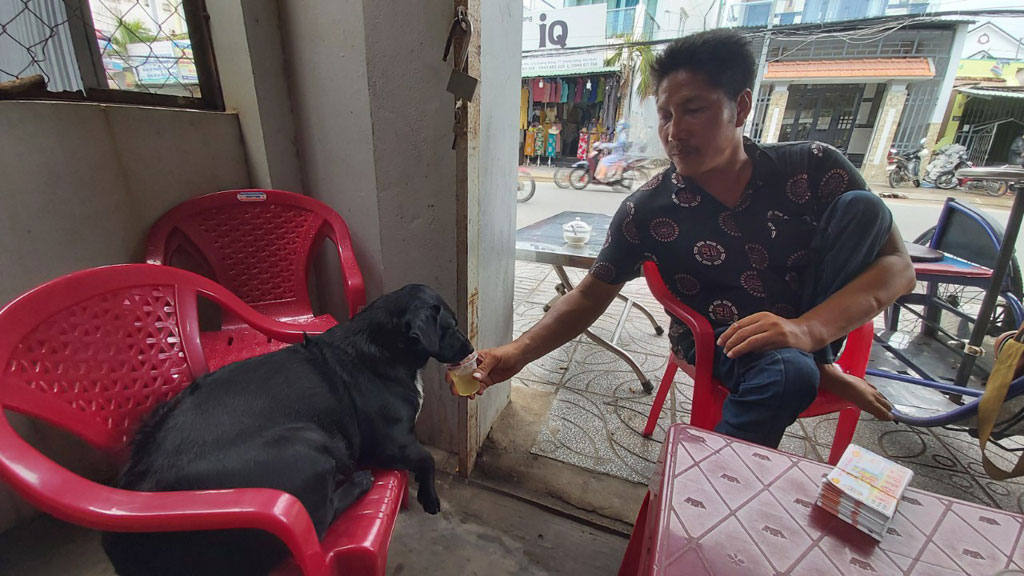 Độc đáo 'chị' chó 4 tuổi đi bán vé số mưu sinh ở Phú Quốc7