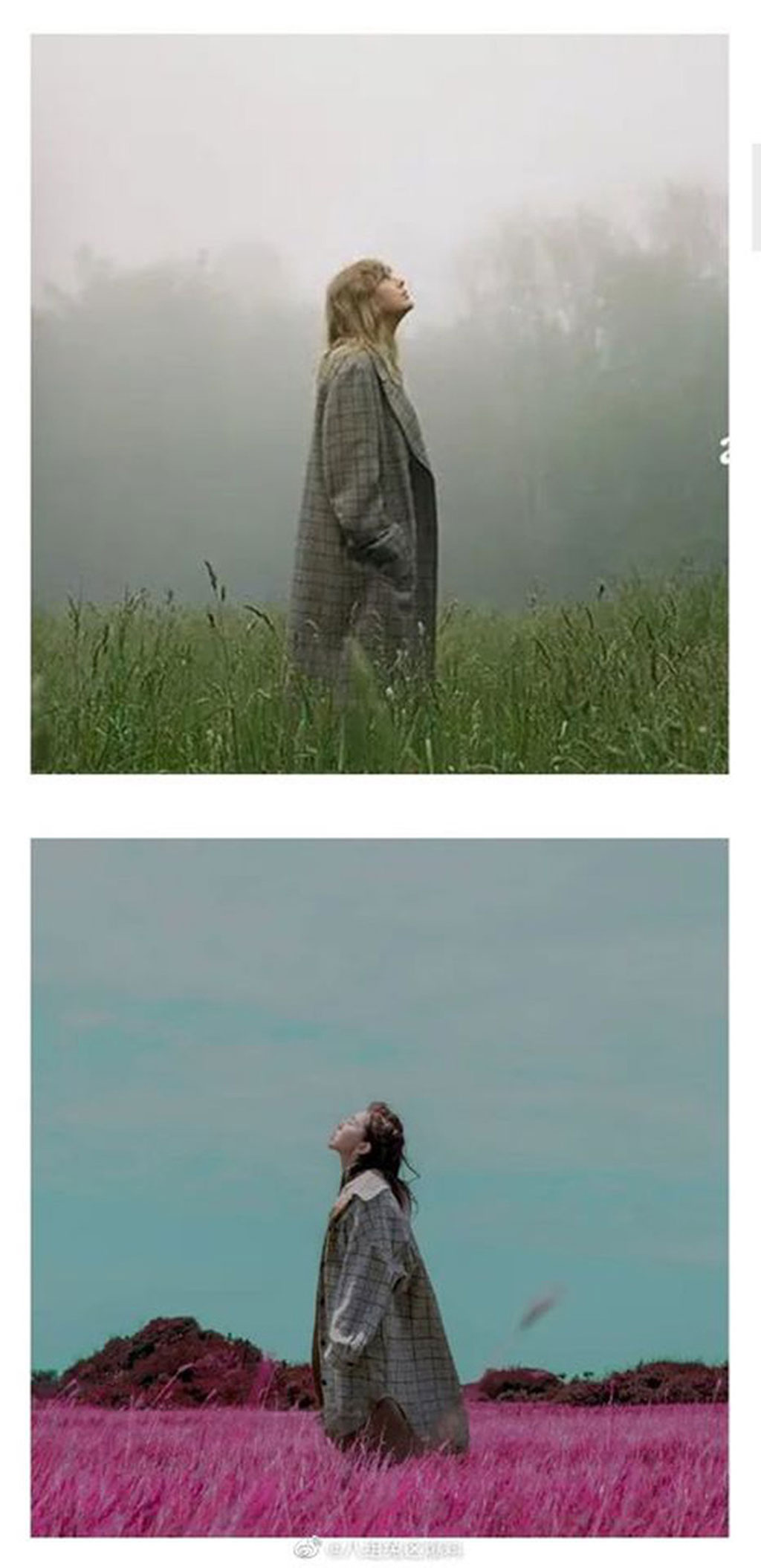 Bộ ảnh quảng bá album folklore của Taylor Swift dính nghi vấn đạo nhái hình ảnh trong MV của Đặng Tử Kỳ2