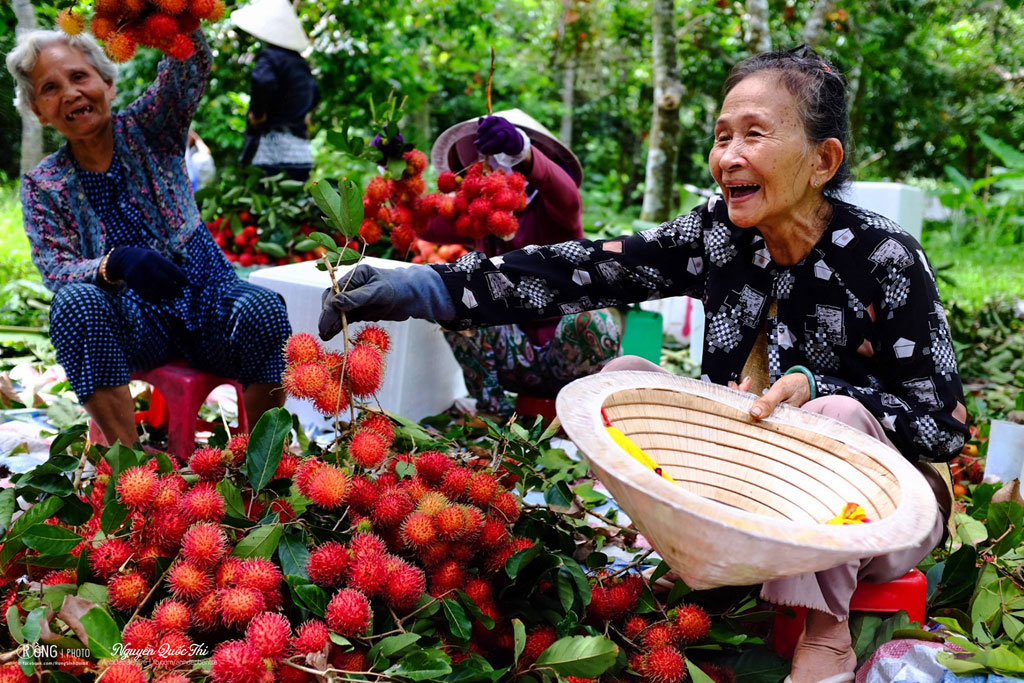 Nghỉ lễ 2.9, đi chơi gần TP.HCM: Khám phá rừng nguyên sinh ở Bến Tre 12