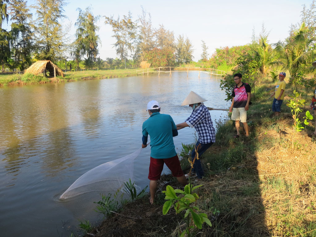 Nghỉ lễ 2.9, đi chơi gần TP.HCM: Khám phá rừng nguyên sinh ở Bến Tre 8