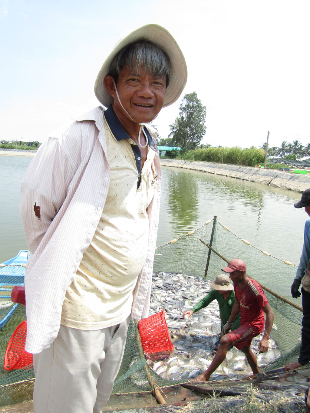 Nuôi cá rô phi đơn tính thu lãi tiền tỉ2