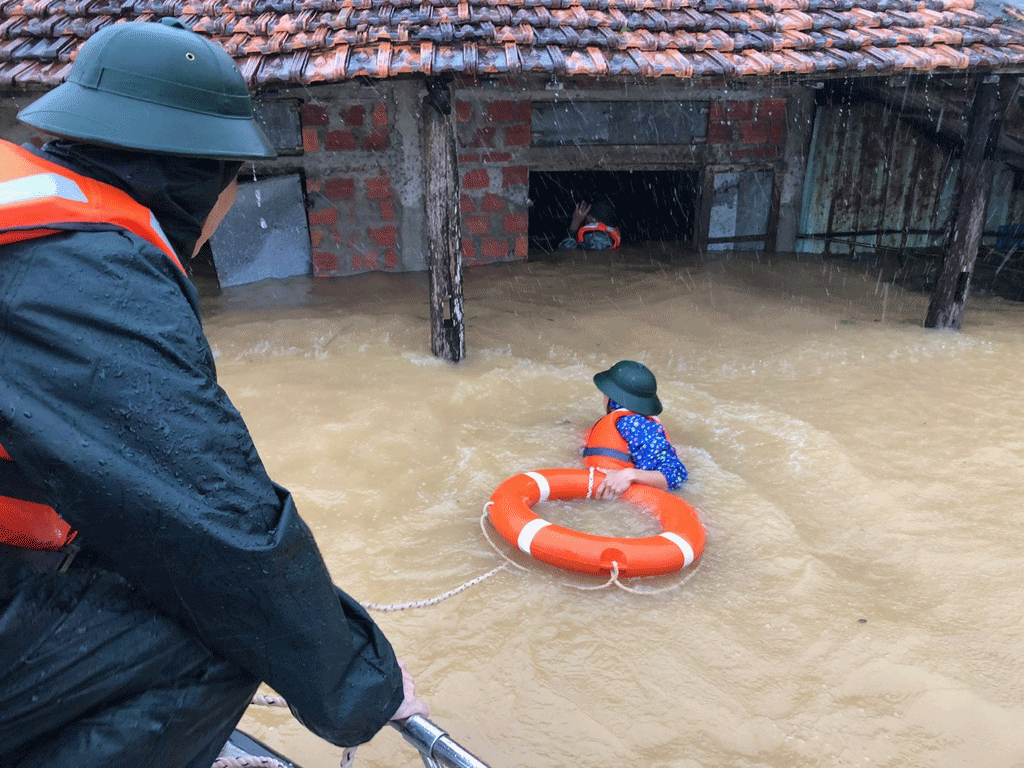 Chùm ảnh 