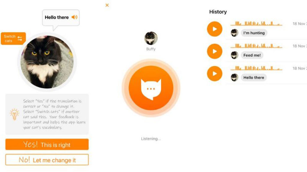 Ứng dụng dịch tiếng mèo kêu1