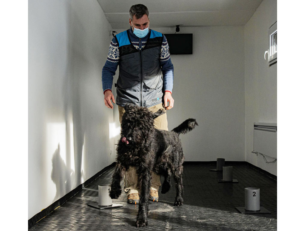 Trung tâm huấn luyện chó phát hiện người mắc Covid-191