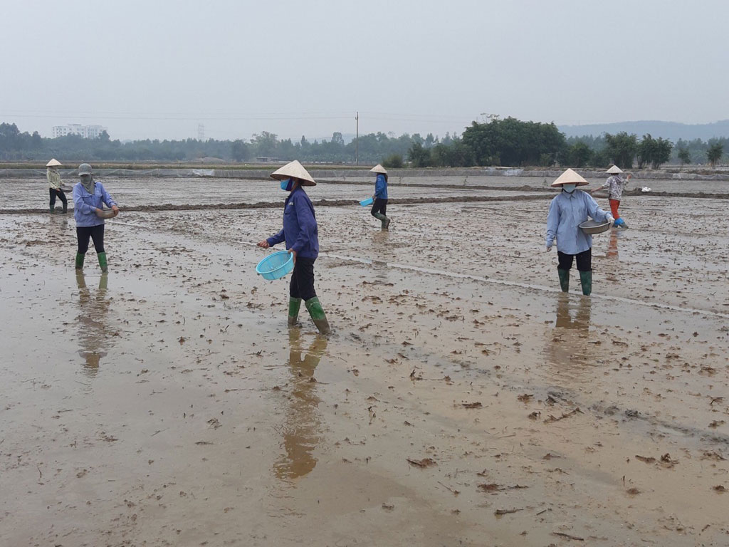 Ấm lòng tổ phụ nữ giúp nhau trong mùa dịch Covid-19 tại Hải Dương1