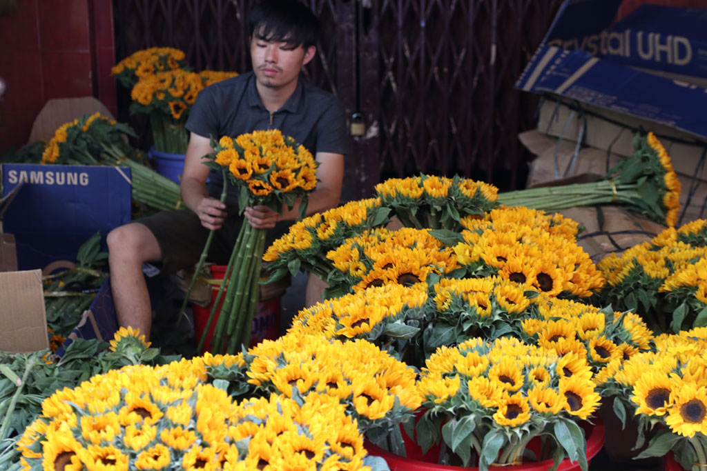 Vựa hoa lớn nhất Sài Gòn ‘sống dậy’ nhờ dịp 8.3 sau một năm dài ế ẩm6