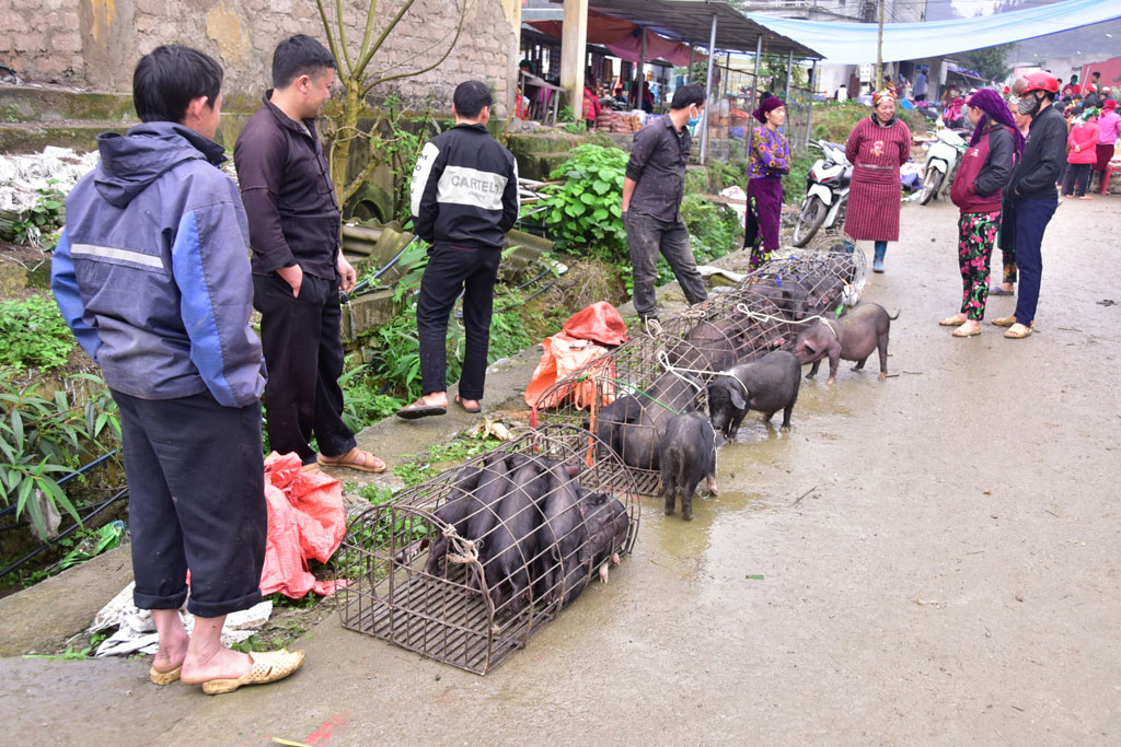 Chợ phiên Tùng Vài mùa Covid6