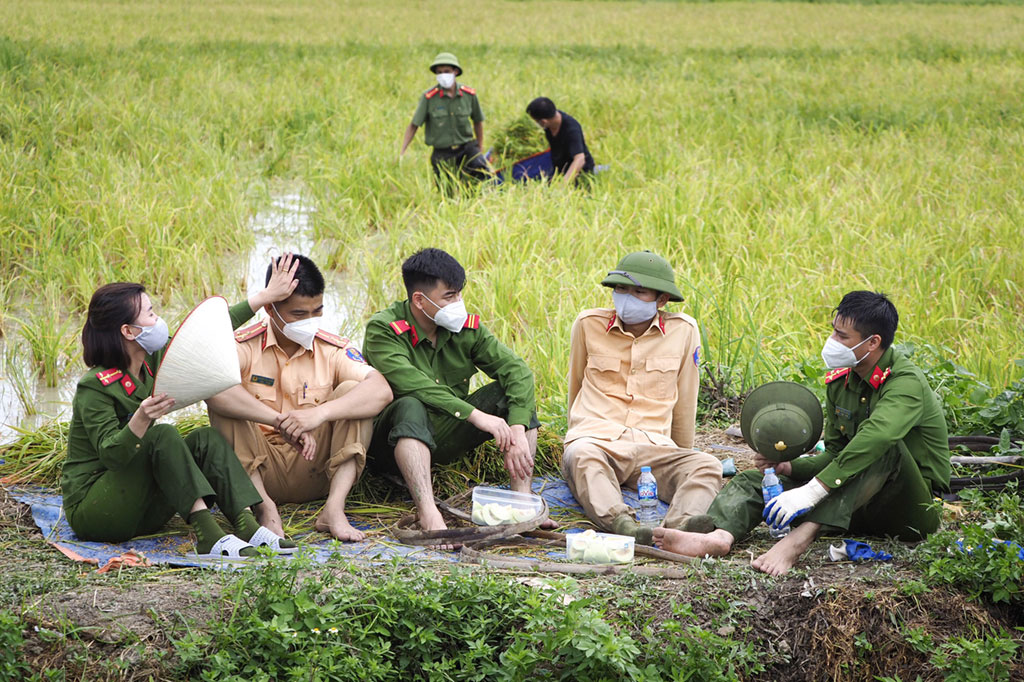 Cảm động chiến sĩ Công an gặt lúa cho người dân vùng dịch trong tiết trời oi ả12