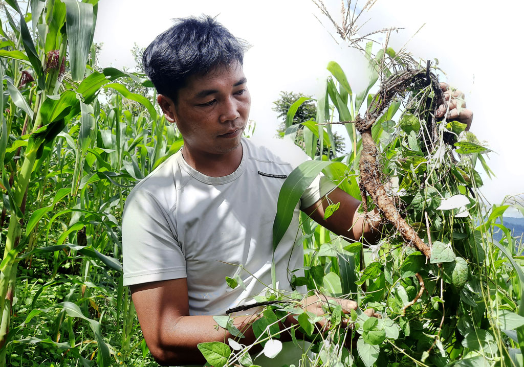 Đổi thay bản làng 'cổng trời'1