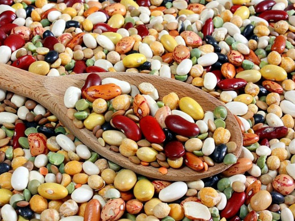 Ăn đậu giúp người béo giảm cân