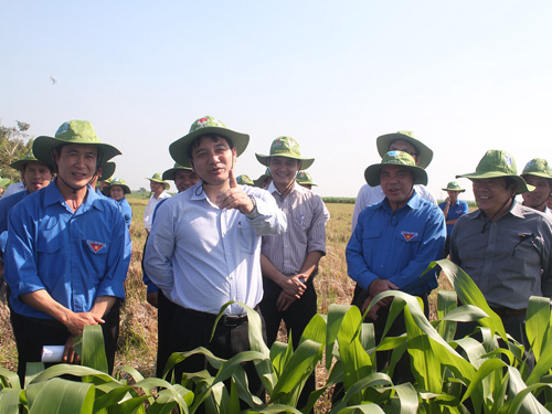 Anh Nguyễn Đắc Vinh khen ngợi mô hình thuê đất bỏ hoang trồng bắp của đoàn viên xã Xuân Thọ (H.Xuân Lộc, Đồng Nai).