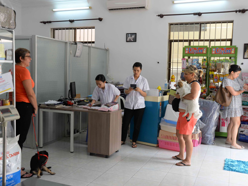 Thú cưng được chăm tại Phòng khám thú y Saigon Pet Clinic