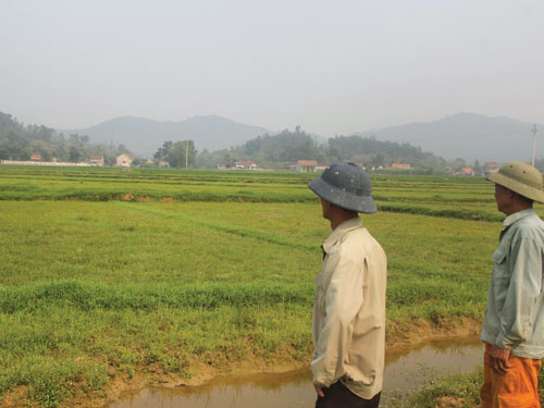 Gần 2 ha ruộng tại xã Giang Sơn Đông vẫn bị bỏ hoang 