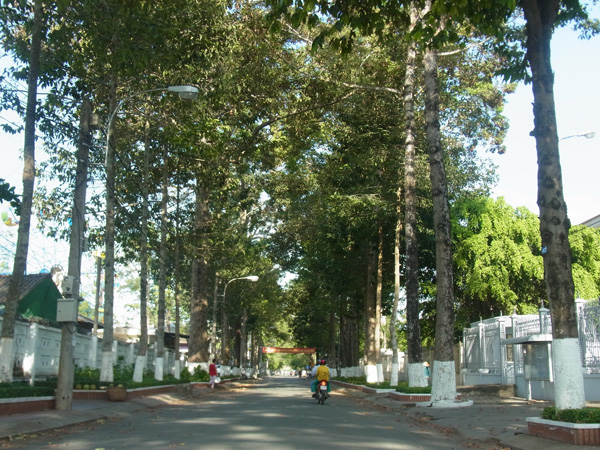 Thành phố Trà Vinh nổi tiếng với hệ thống cây xanh dày đặc 