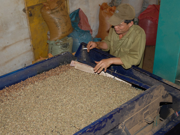 Đầu tư chế biến hiện đại là con đường sống còn cho nông sản Việt 