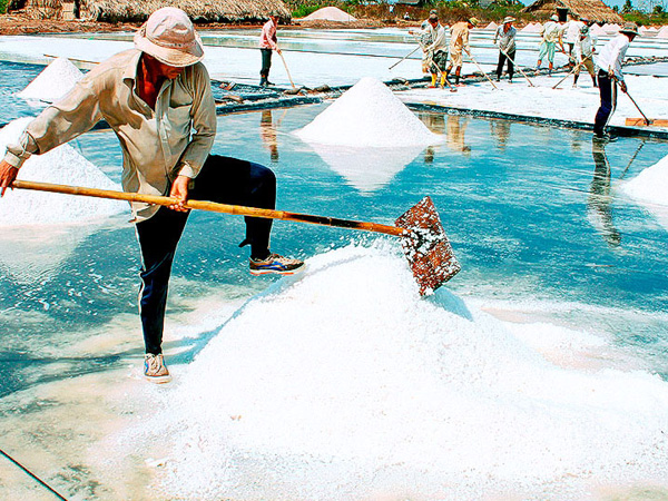 Lượng muối còn tồn đọng trong dân hơn 100.000 tấn 
