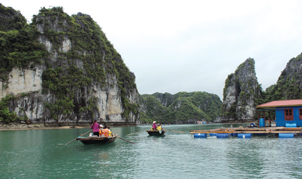 Đường vào làng chài Vung Viêng