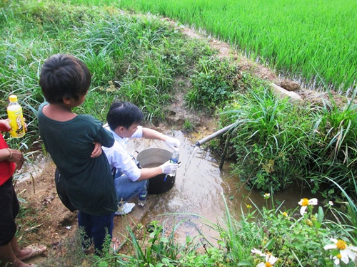 Khảo sát mẫu nước tại xã Nhâm (H.Phong Điền, Thừa Thiên-Huế) 