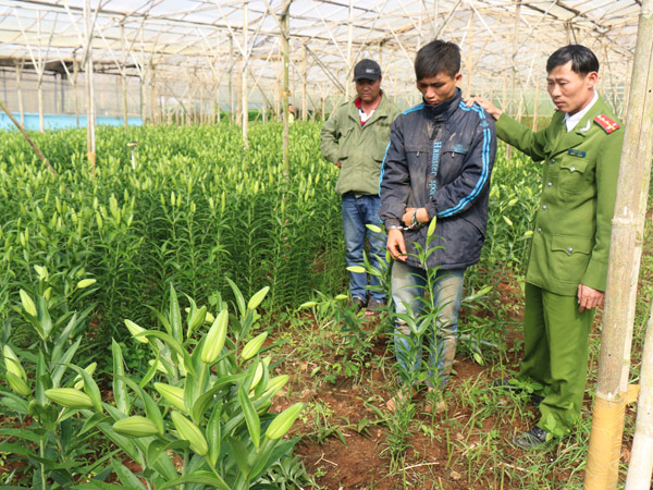 Phạm Đình Mạnh tại hiện trường vụ trộm hoa ở Vạn Thành