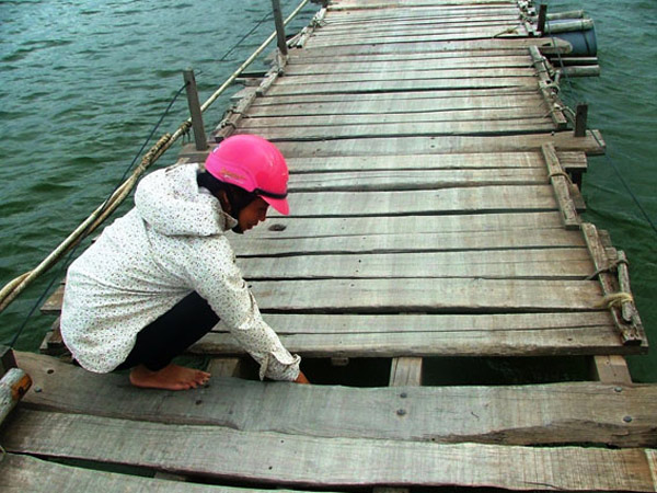 Cầu Thuận Hòa