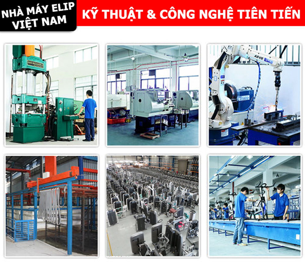 Sản xuất của nhà máy Elip Việt Nam