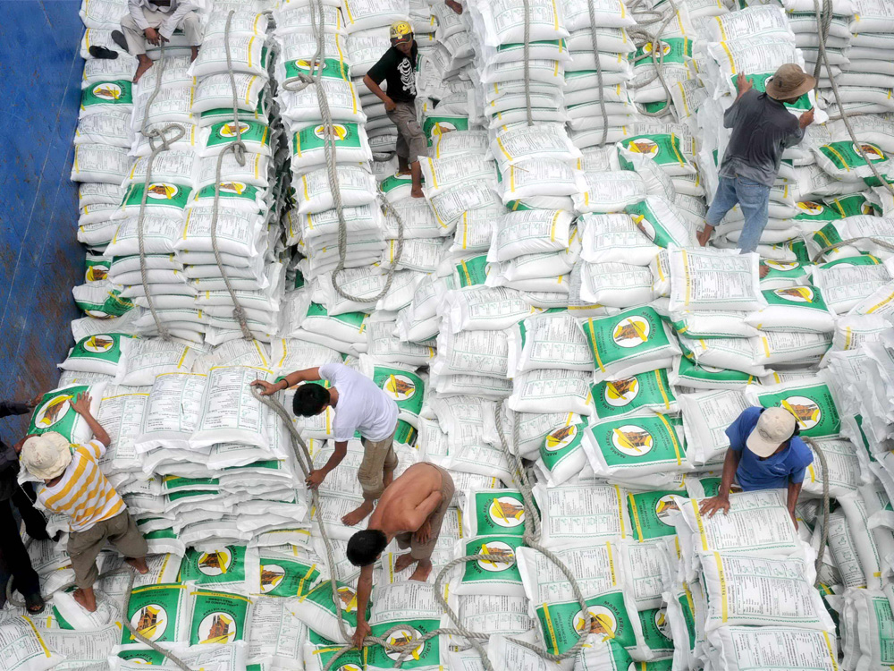 Xuất khẩu gạo giảm mạnh ở hầu hết các thị trường 