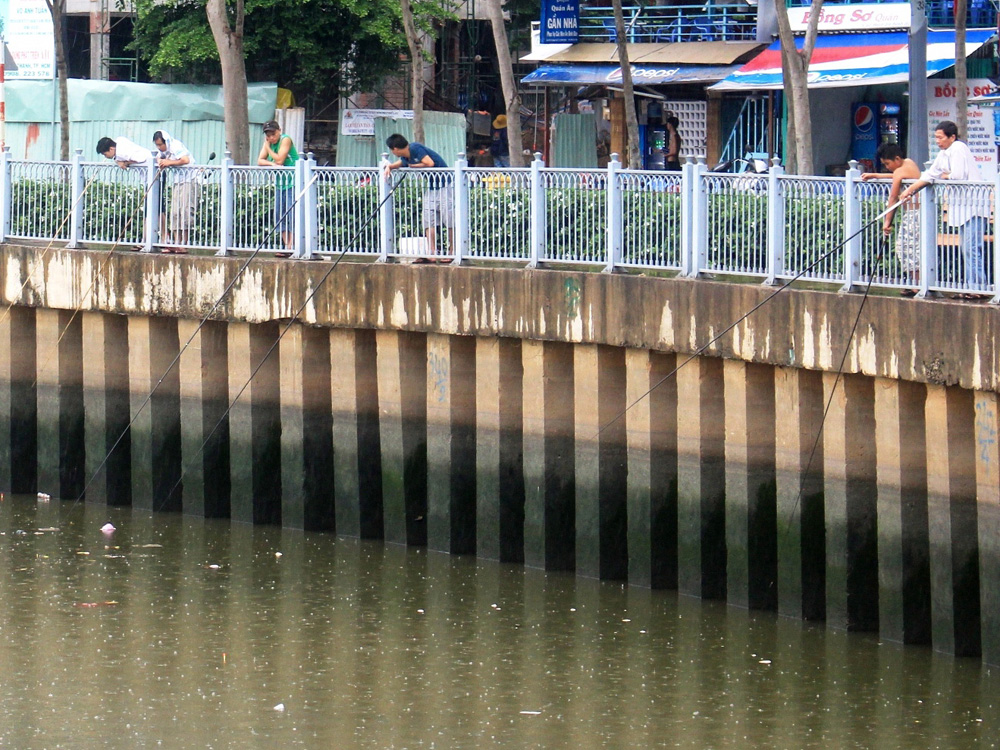 Nhiều người tập trung câu cá trên đường Trường Sa, đoạn qua P.3, Q.Bình Thạnh, TP.HCM