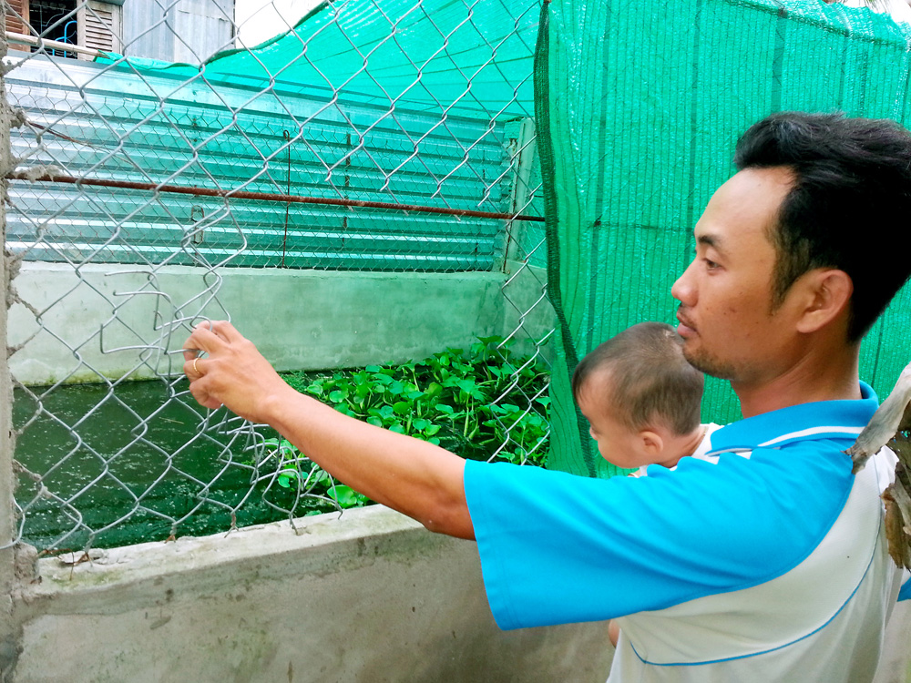 Kẻ trộm cắt lưới B40 vào chuồng bắt trộm 48 con cá sấu của chị Tuyền