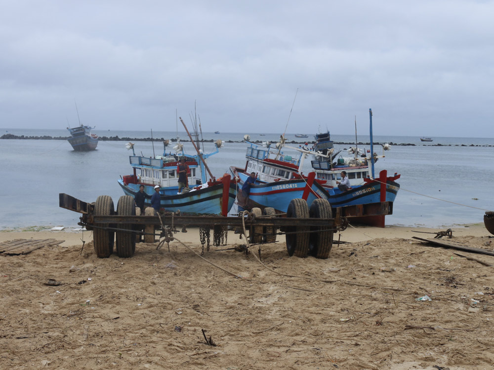 Ngư dân huyện đảo Phú Quý neo đậu tàu thuyền đề phòng mưa bão