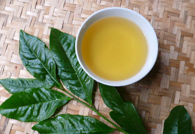 Lá trà xanh vừa tốt cho sức khỏe vừa hỗ trợ trị mụn