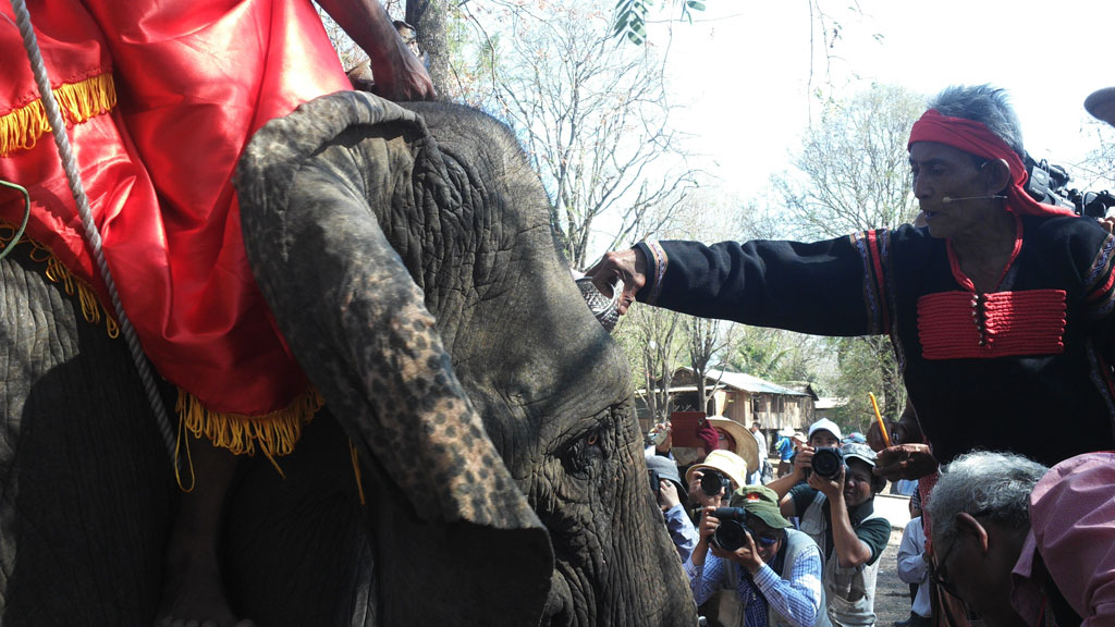 Rưới tiết heo lên trán voi trong lễ cúng - Ảnh: Nguyên Bình