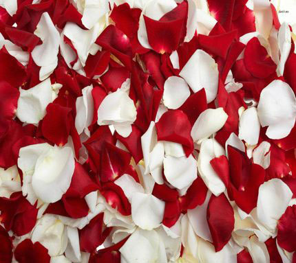 Tắm trắng hiệu quả tại nhà bằng hoa hồng