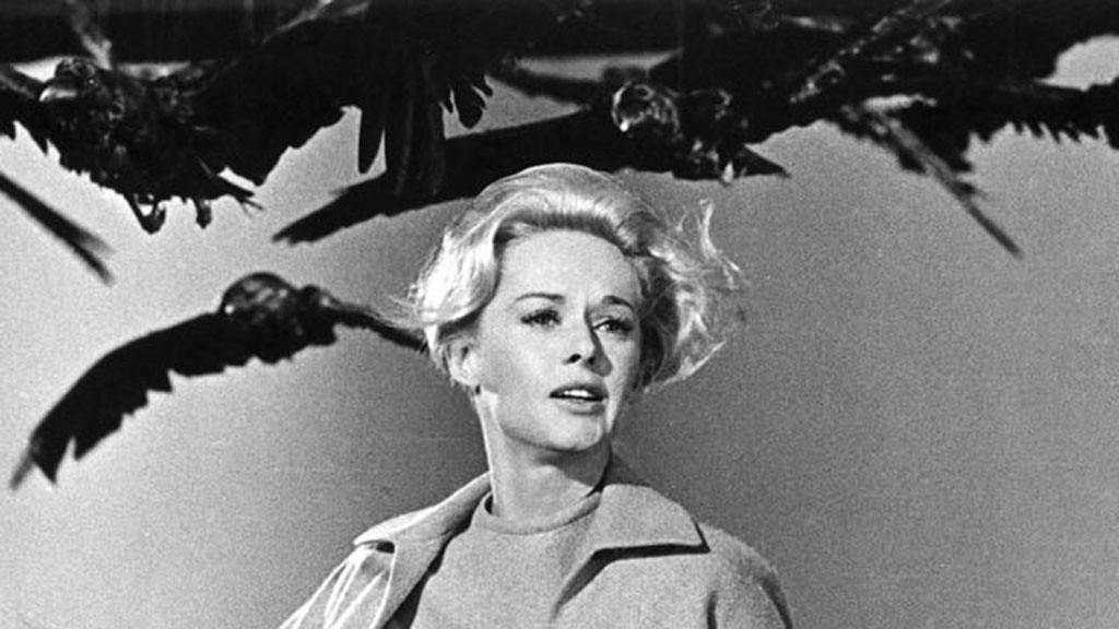 Tippi Hedren với những cảnh quay với đàn chim 