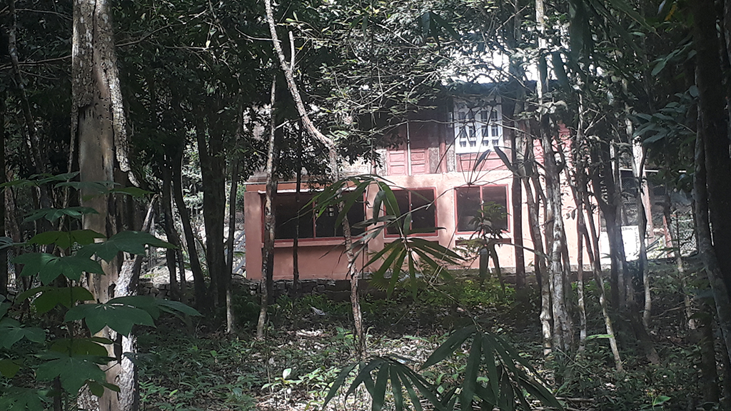 Căn nhà một trệt một lầu (đối diện nhà gỗ) xây dựng giữa rừng phòng hộ