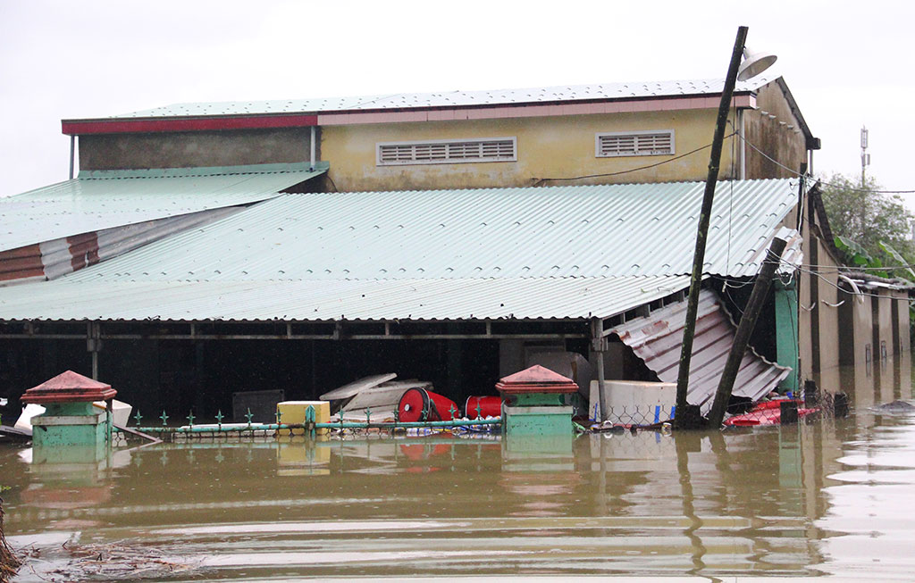 Nhiều nhà dân ở xã Tam Đàn (H.Phú Ninh) ngập gần tới mái