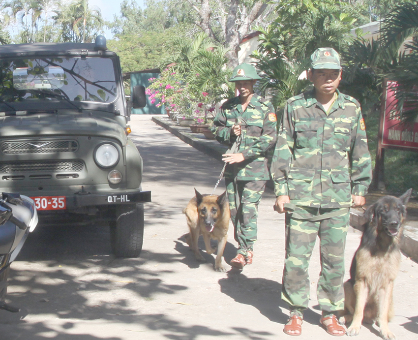 Sẵn sàng đánh án