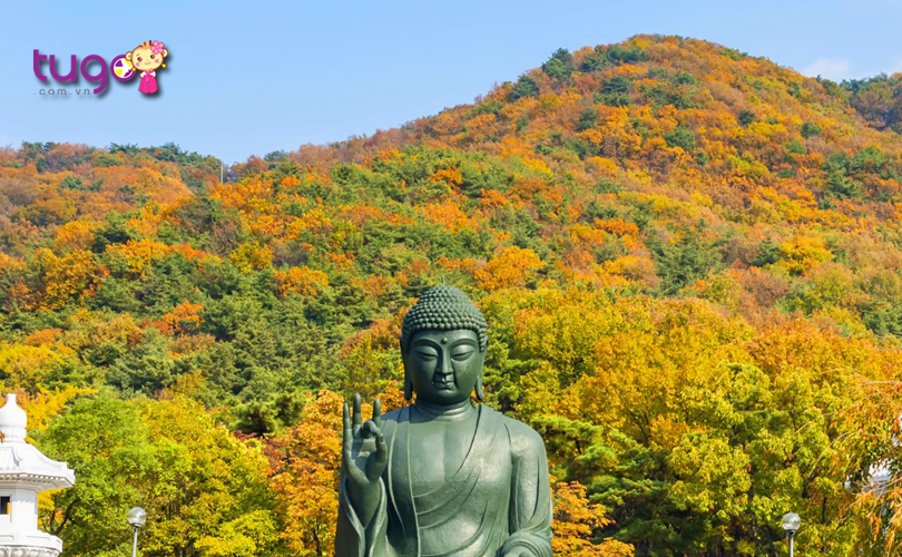 Núi Seoraksan với sắc lá Tanphung