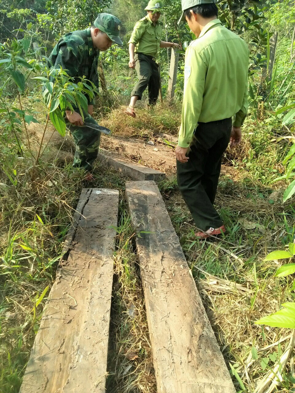 Lực lượng chức năng phát hiện lượng lớn gỗ mun chôn giấu tại Thượng Trạch ngày 29.3 ẢNH: HUÊ MINH
