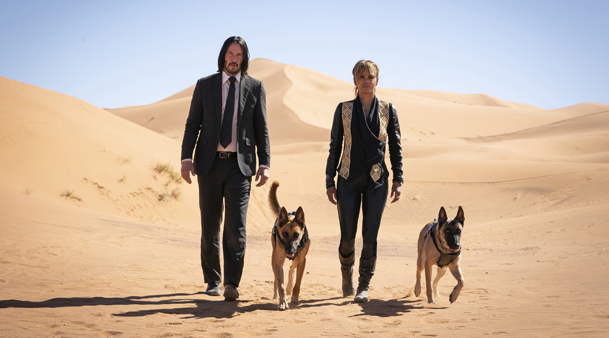 Những chú chó hiếu chiến chính là điểm nhấn trong John Wick 3. Ảnh: LIONSGATE